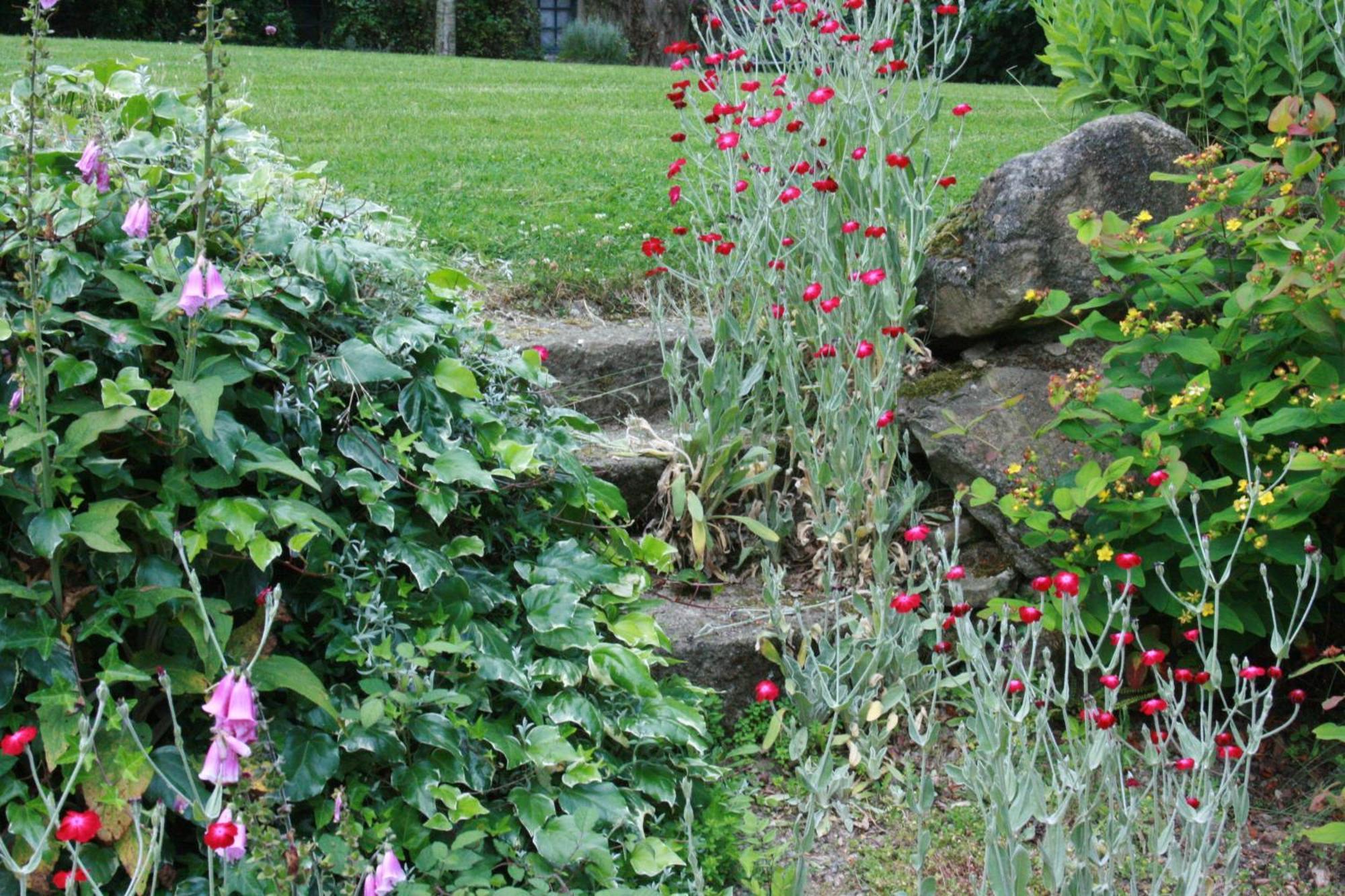 Bed and Breakfast Au Pont Ricoul Saint-Pierre-de-Plesguen Exterior foto