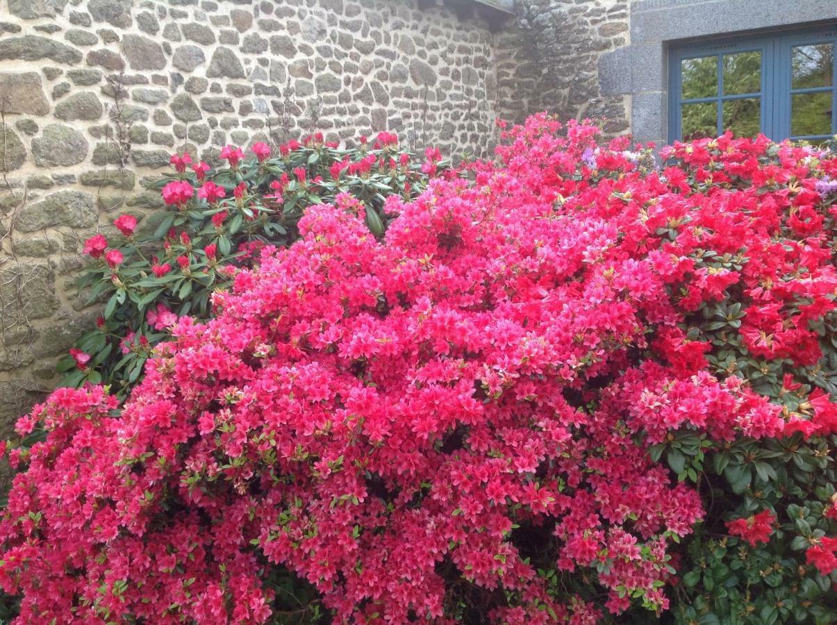Bed and Breakfast Au Pont Ricoul Saint-Pierre-de-Plesguen Exterior foto